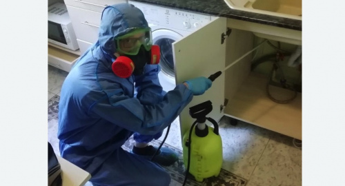 Уничтожение муравьев в квартире. Змеиногорск