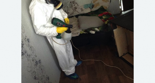 Обработка квартир от насекомых в Змеиногорске