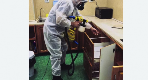 Дезинсекция квартиры. Змеиногорск