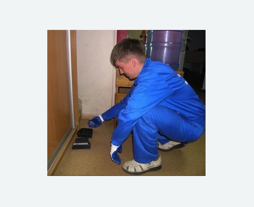 Дератизация крыс Дератизация крыс в Змеиногорске