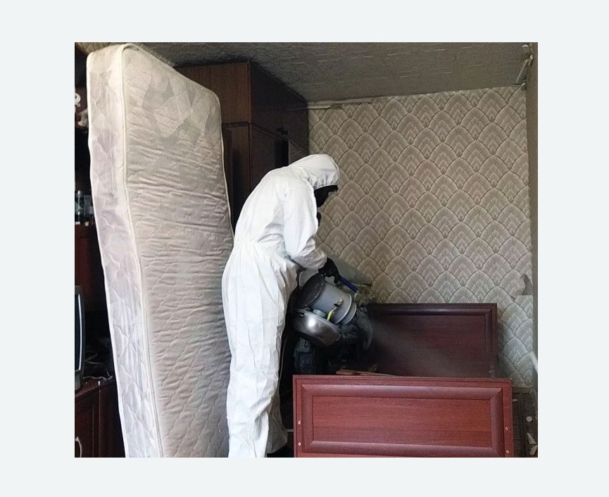 дезинфекция от клопов в Змеиногорске