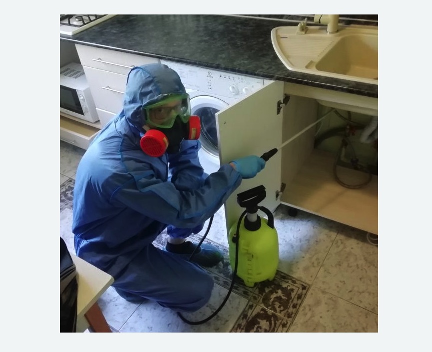 обработка от муравьев в квартире в Змеиногорске