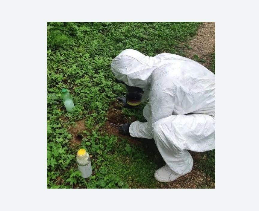 уничтожение кротов на участке в Змеиногорске