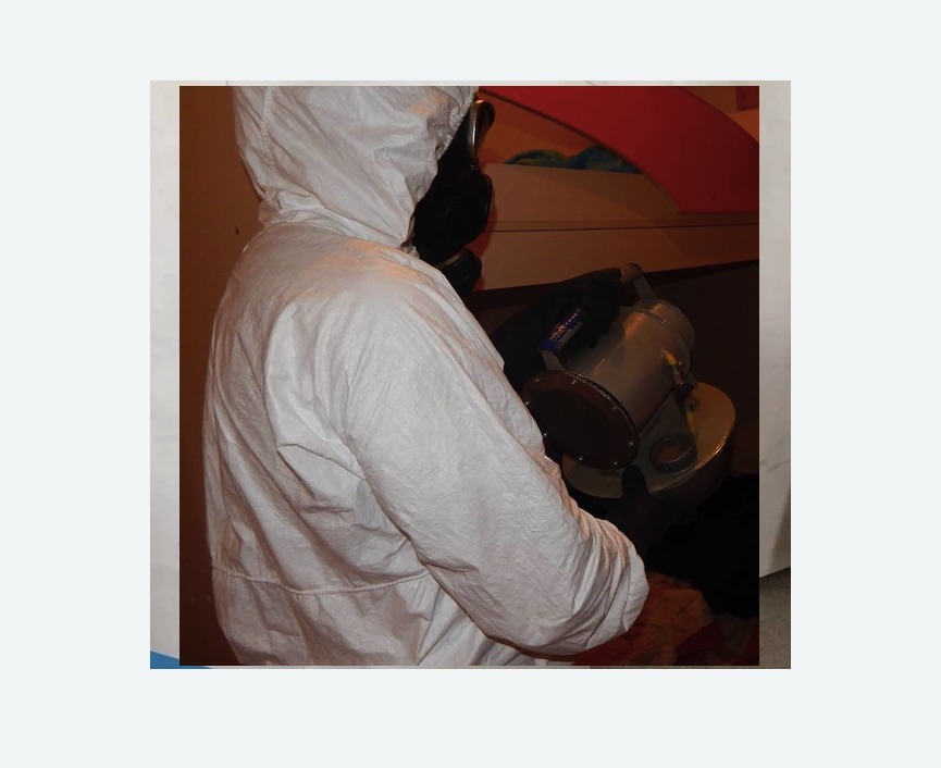 Дезинфекция от муравьев в Змеиногорске