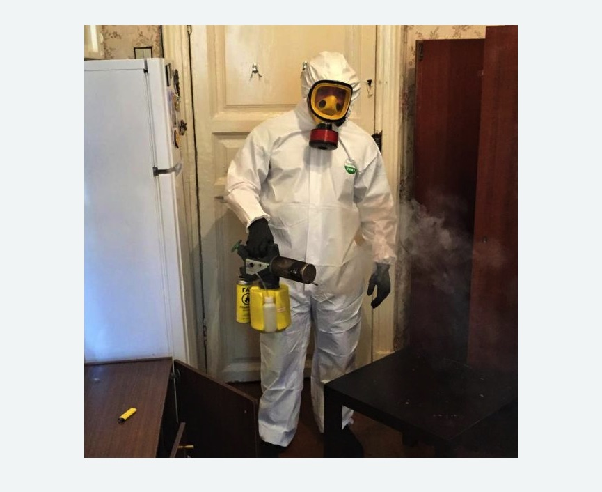 уничтожение муравьев в квартире в Змеиногорске